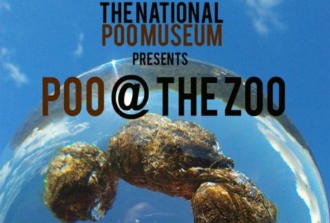 poo zoo