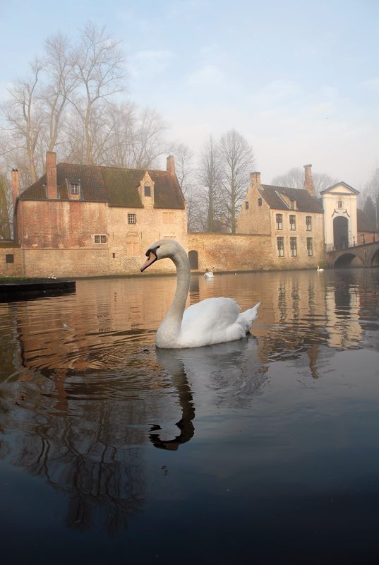 bruges2